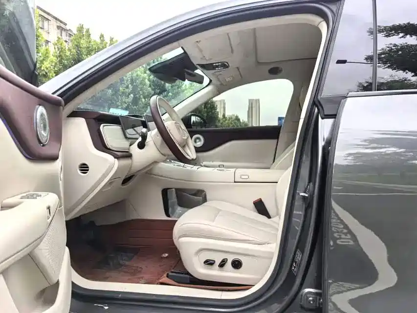 Фото 4 - Voyah Auto Voyah Zhiyin