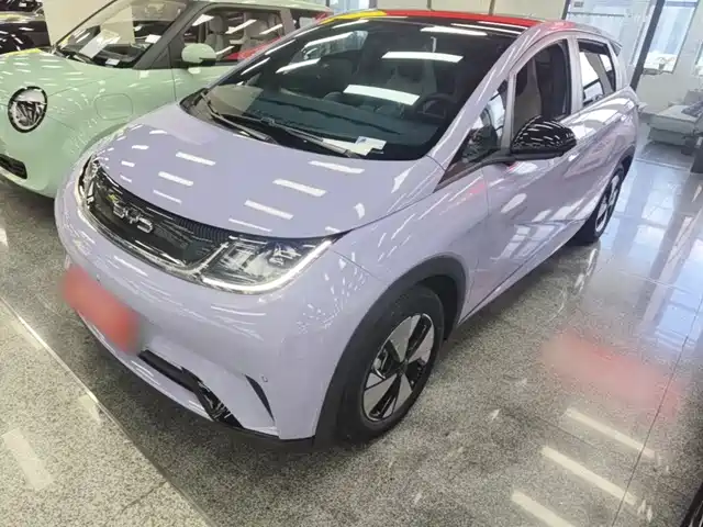 BYD Dolphin 2024