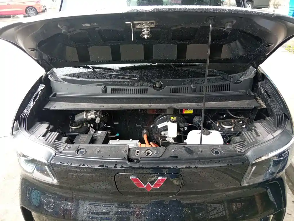 Wuling Motors Wuling Zhiguang NEV 2026 2025 Model 305km Base Version