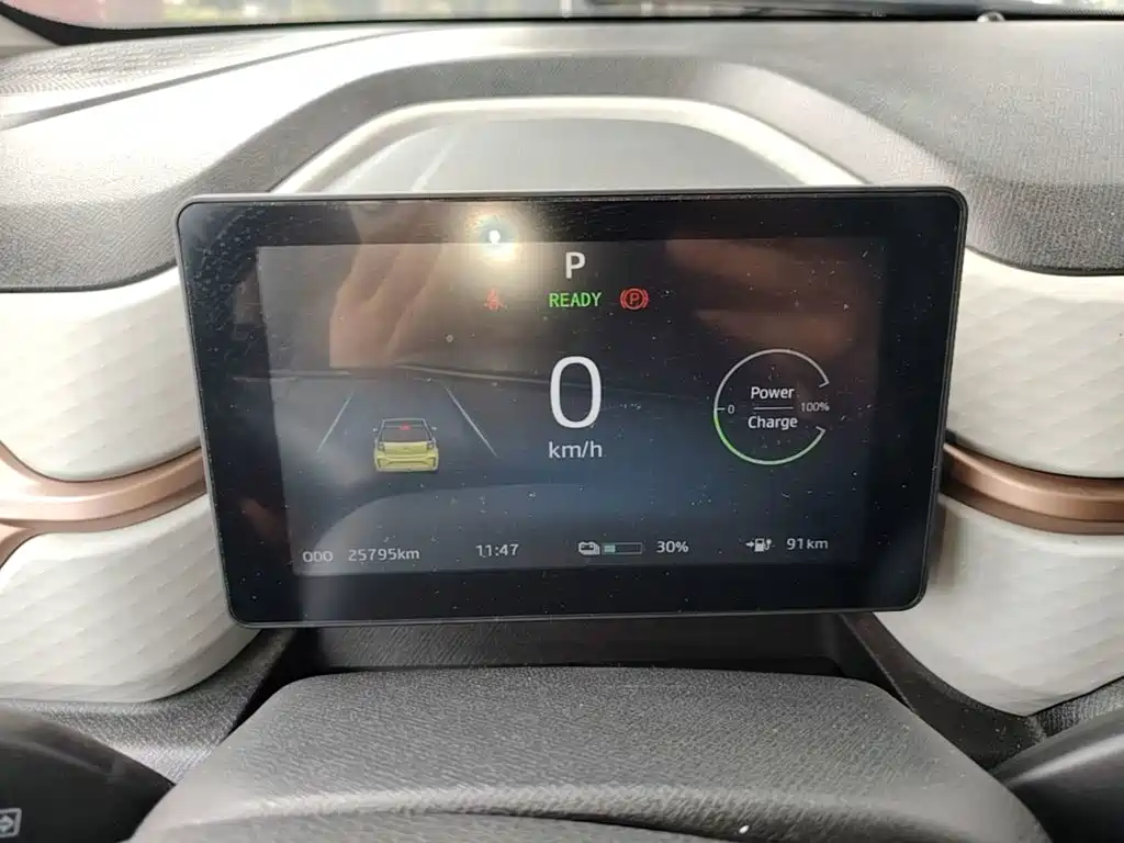 Sehol Flower Fairy 2021 2021 302km Luxury Edition 31.4kWh