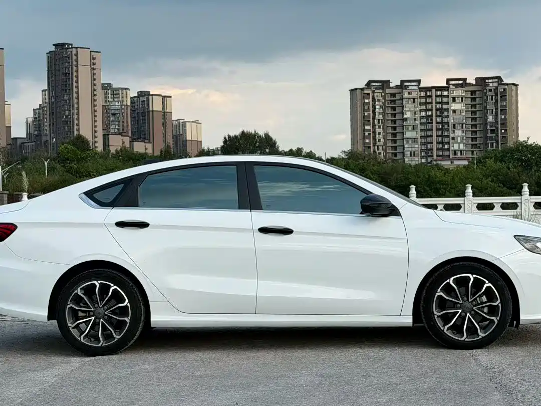 Фото 4 - Geely Binrui