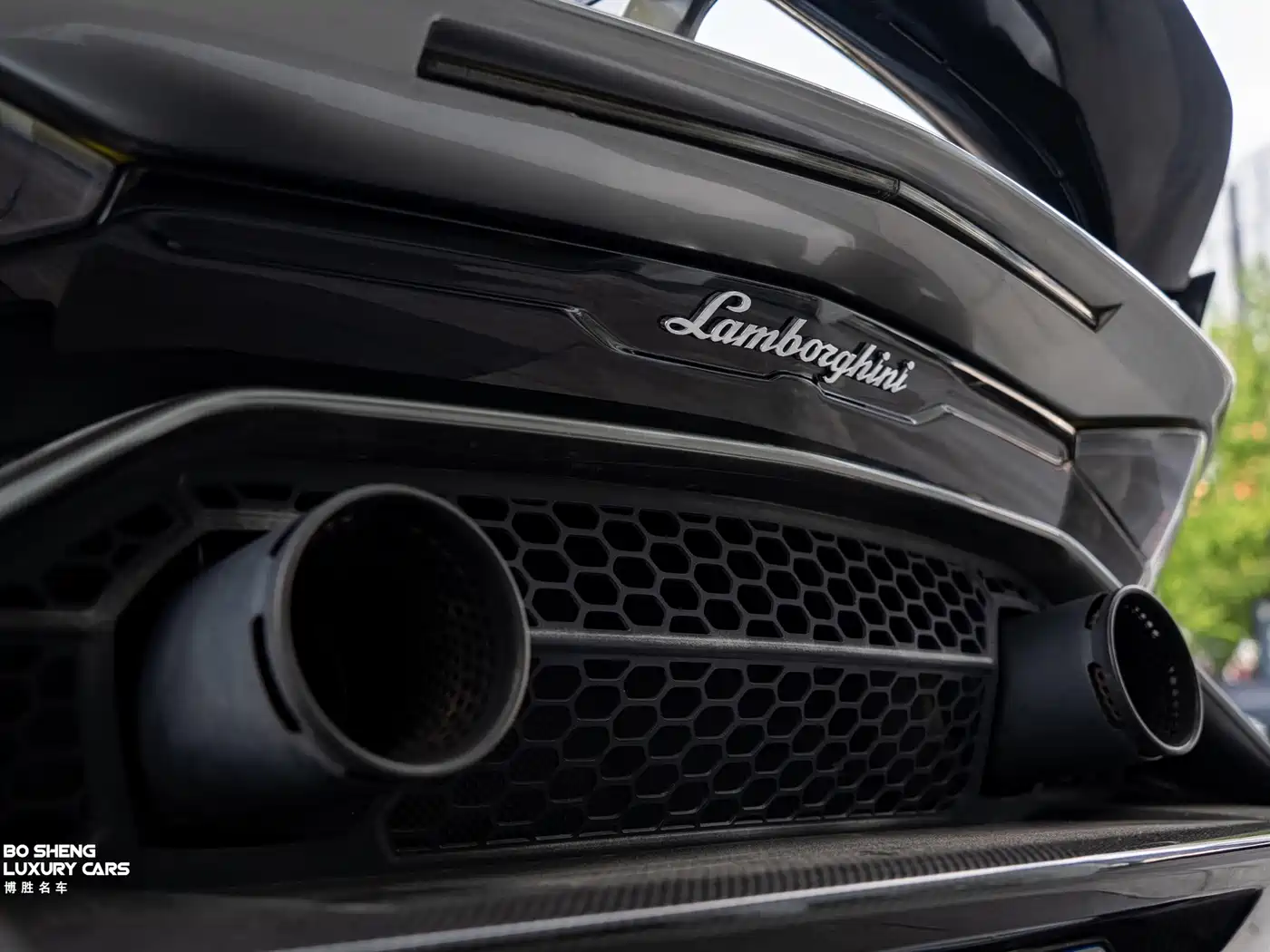 Lamborghini Aventador 2019 2019 Aventador SVJ