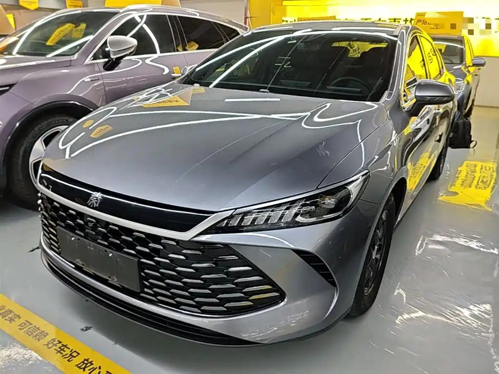 BYD Qin PLUS 2025 DM-i Smart Drive 55KM Leader