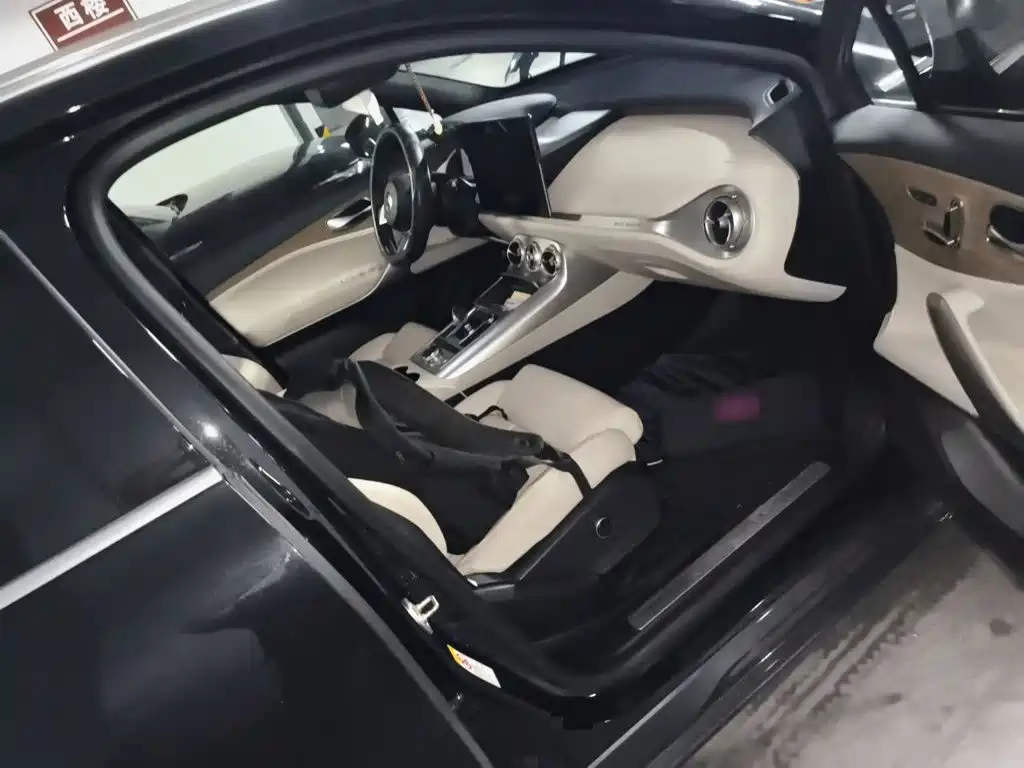 Denza X 2021 2020 Model PHEV Flagship Edition