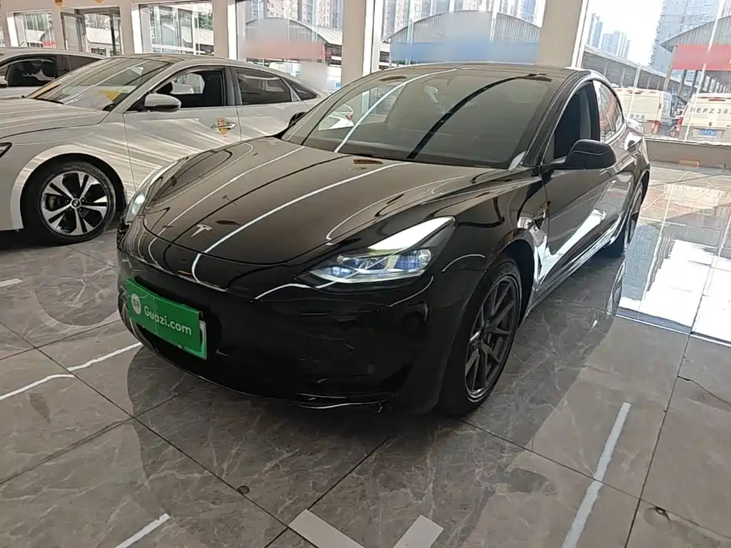 Tesla Model 3 2021