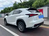 Фото 15 - Lexus NX