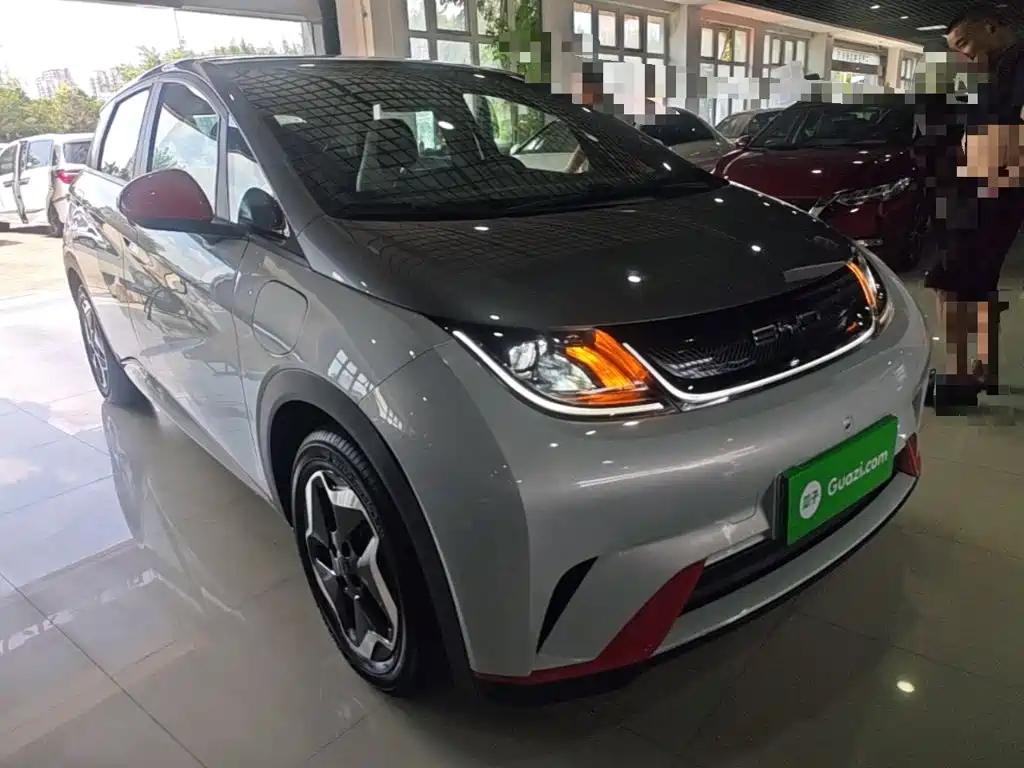 BYD Dolphin 2022 2021 405km Freedom Edition