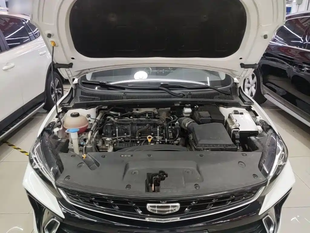 Фото 20 - Geely Binrui