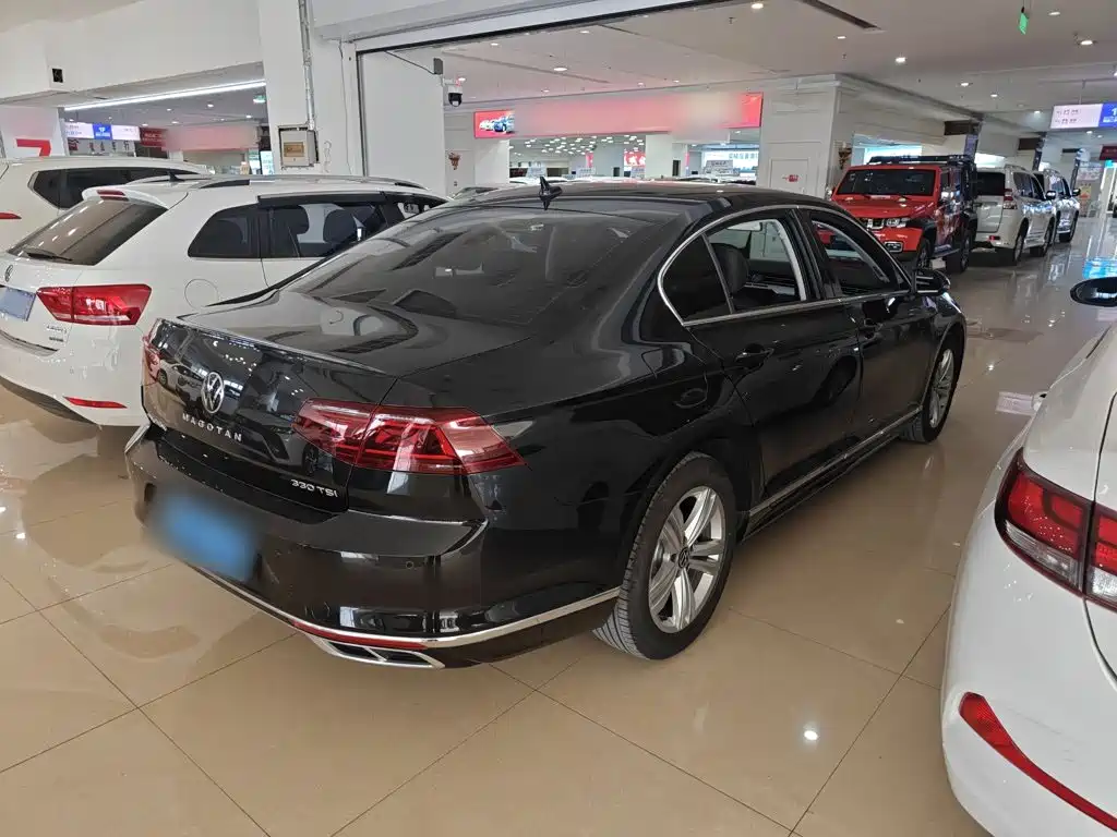Volkswagen Magotan, миниатюра 11