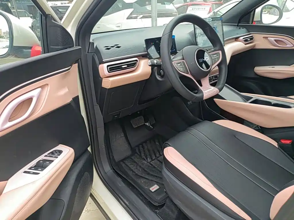 BYD Seagull 2026 2025 Smart Drive Edition 305km Vitality Version