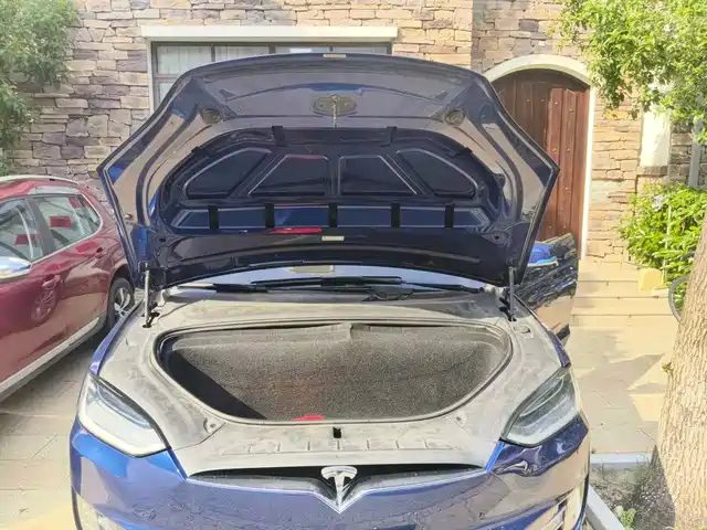 Tesla Model X 2017 Model X 100D Long Range — фото 3