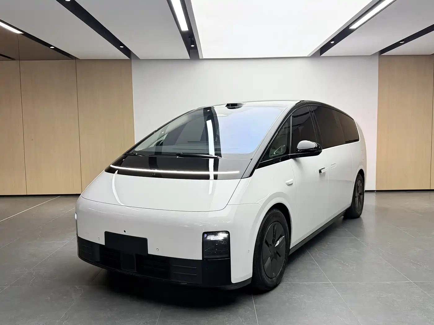Li Auto MEGA 2025 2025 Model Home Family Special Edition