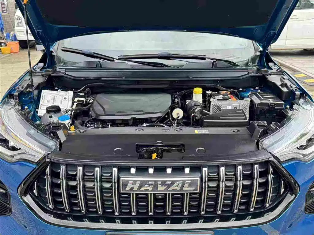 Haval Chitu 2021 2021 Boost Edition 1.5T Platinum Rabbit