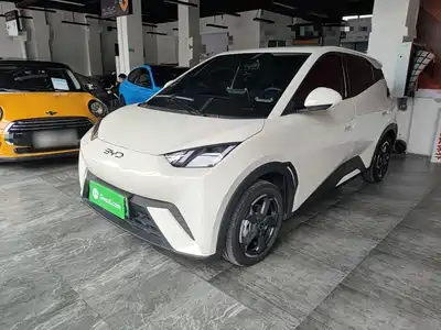 BYD Seagull