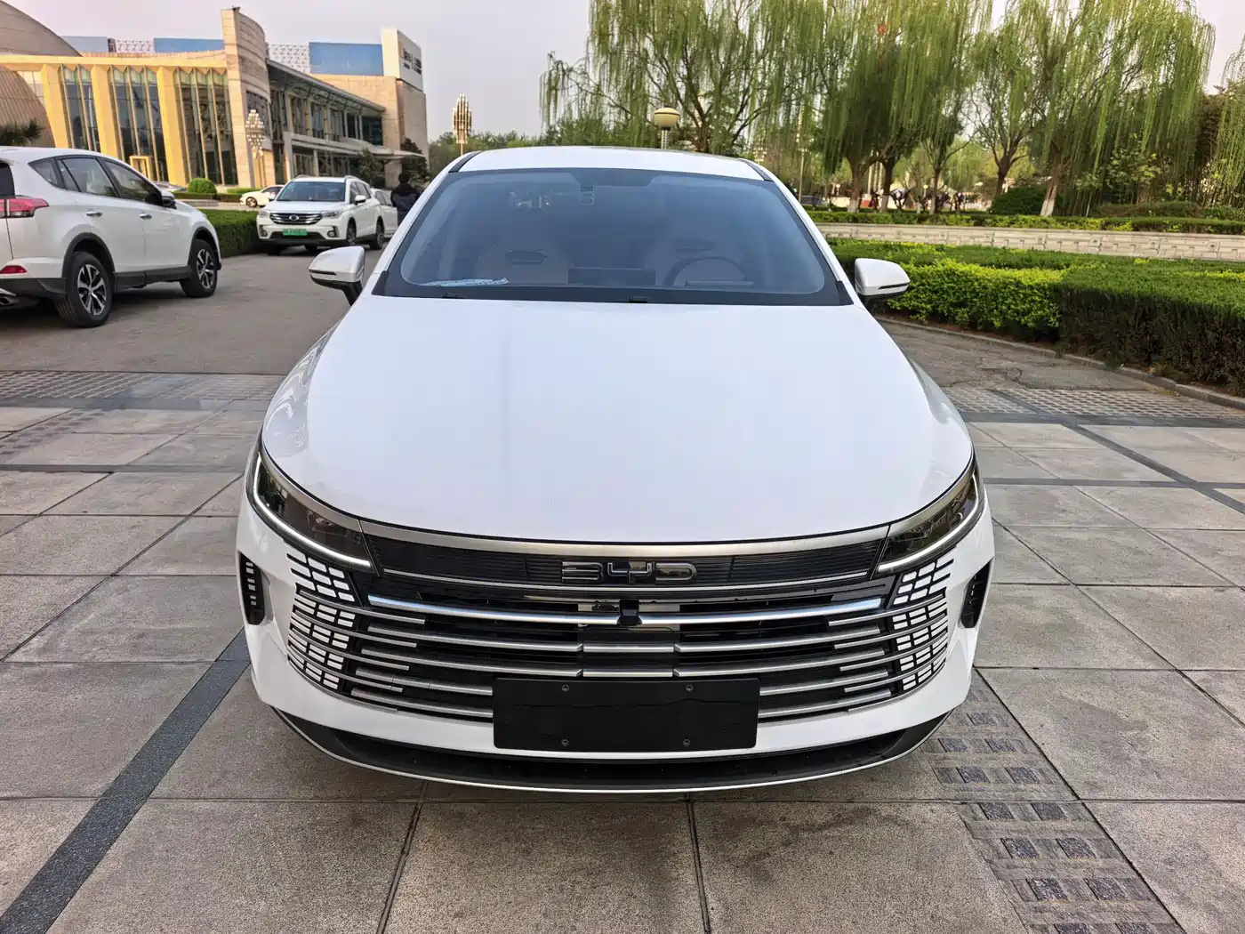 BYD Destroyer 05 2024 Glory Edition DM-i 55KM Luxury