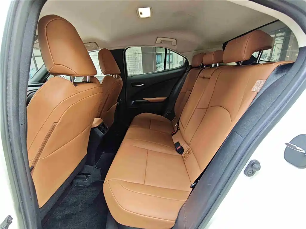 Lexus UX 2020 260h Explore Cool Edition China V фото 7