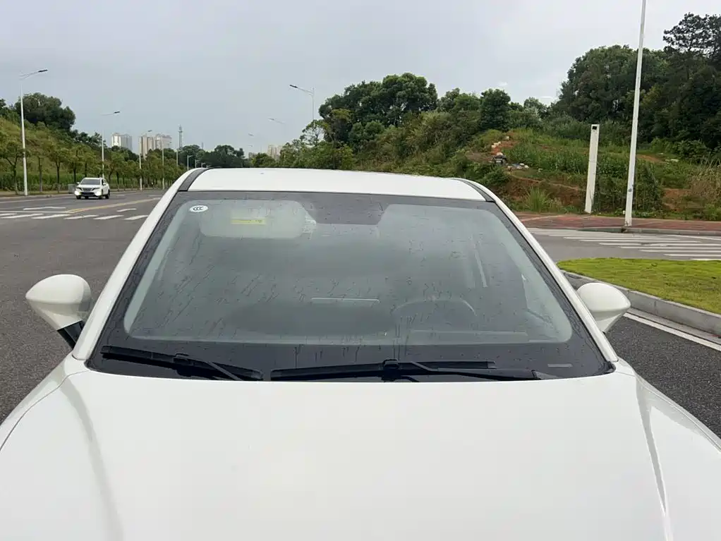 Nezha Auto Nezha V 2022 2022 Tide 300 Lite Ternary Lithium