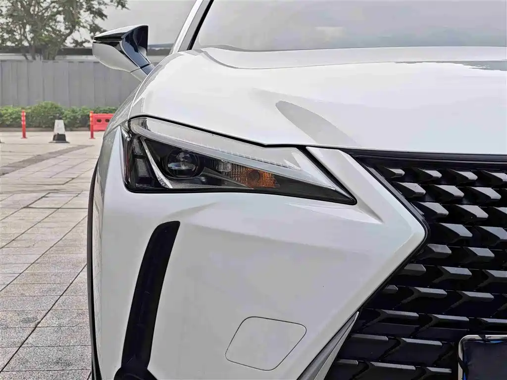 Lexus UX 2020 260h Explore Cool Edition China V фото 4