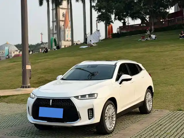 WEI PAI WEI BRAND P8