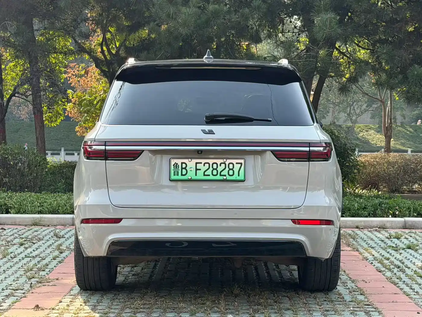 Li Auto Li ONE 2020 2020 Extended Range 6-seater