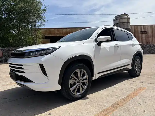 Exeed Exeed Windchaser 2022 Riding the Wind and Waves Edition 1.5T CVT Lucky Peanut Version