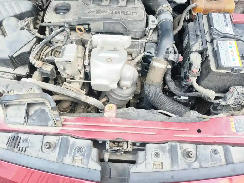 صورة 9 - Chevrolet Monza