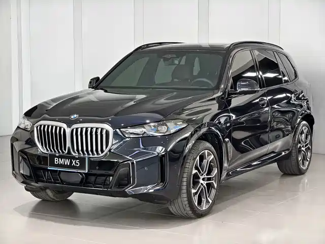 BMW X5 Рестайлинг, xDrive 40Li, M Чёрный спорт-пакет