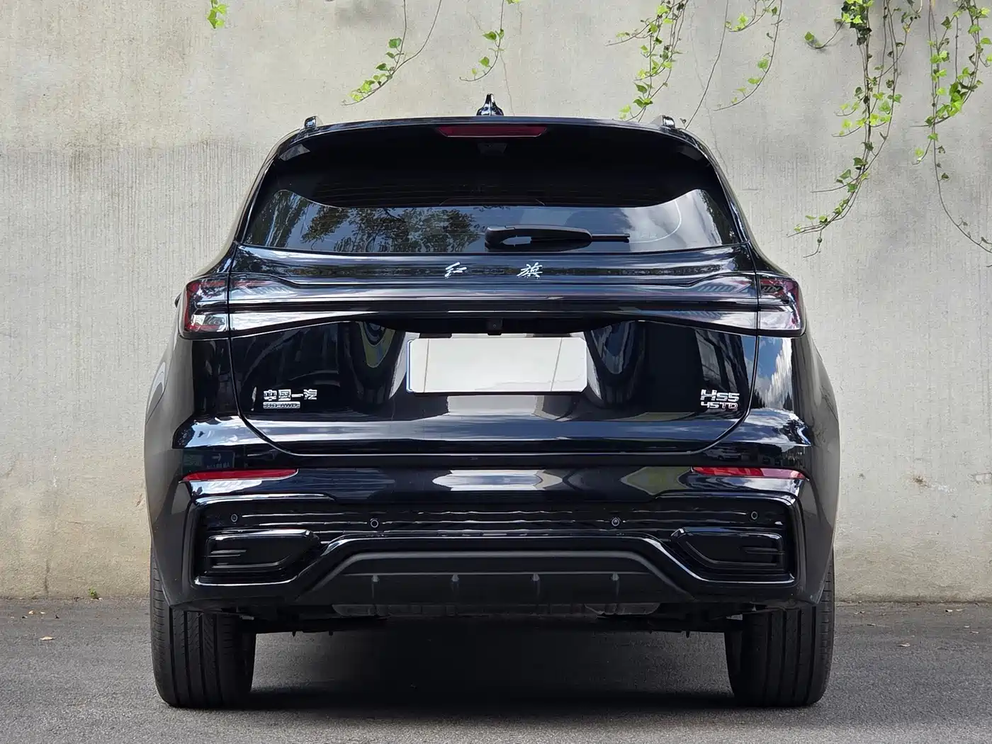 Hongqi HS5 2026 2026 2.0T 4WD Mystic Shadow Edition