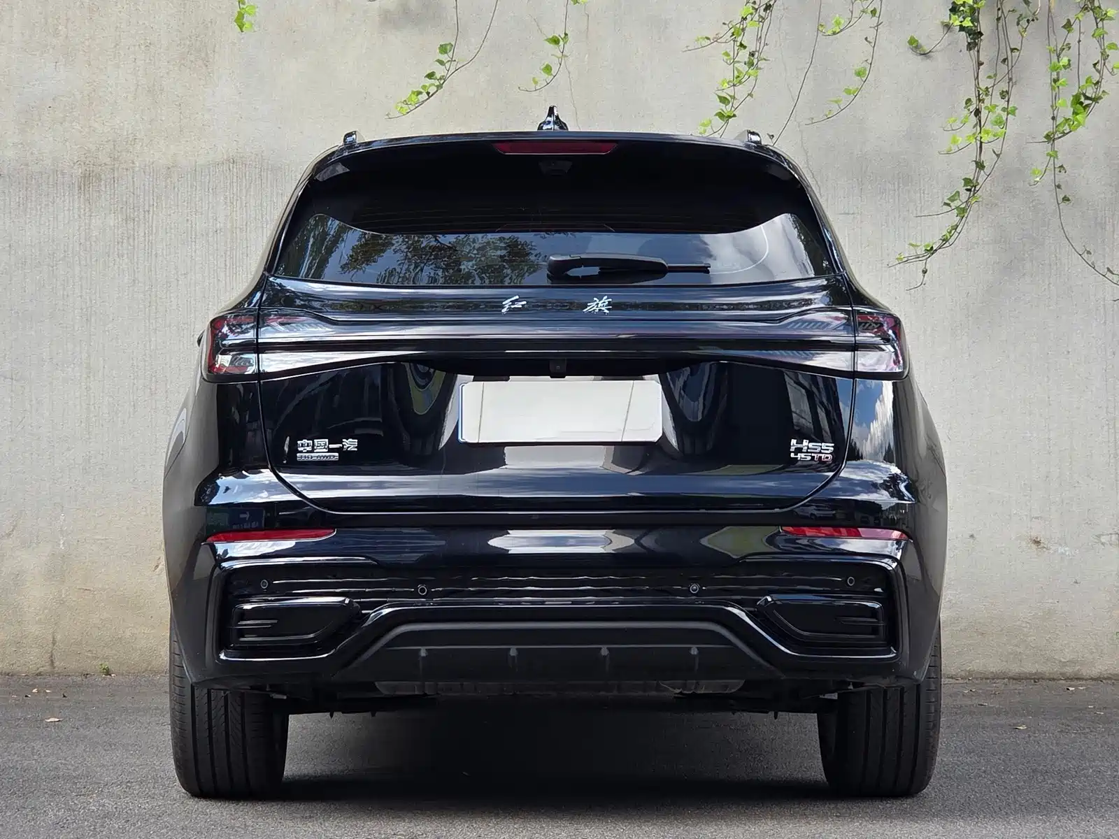 Photo 8 - Hongqi HS5