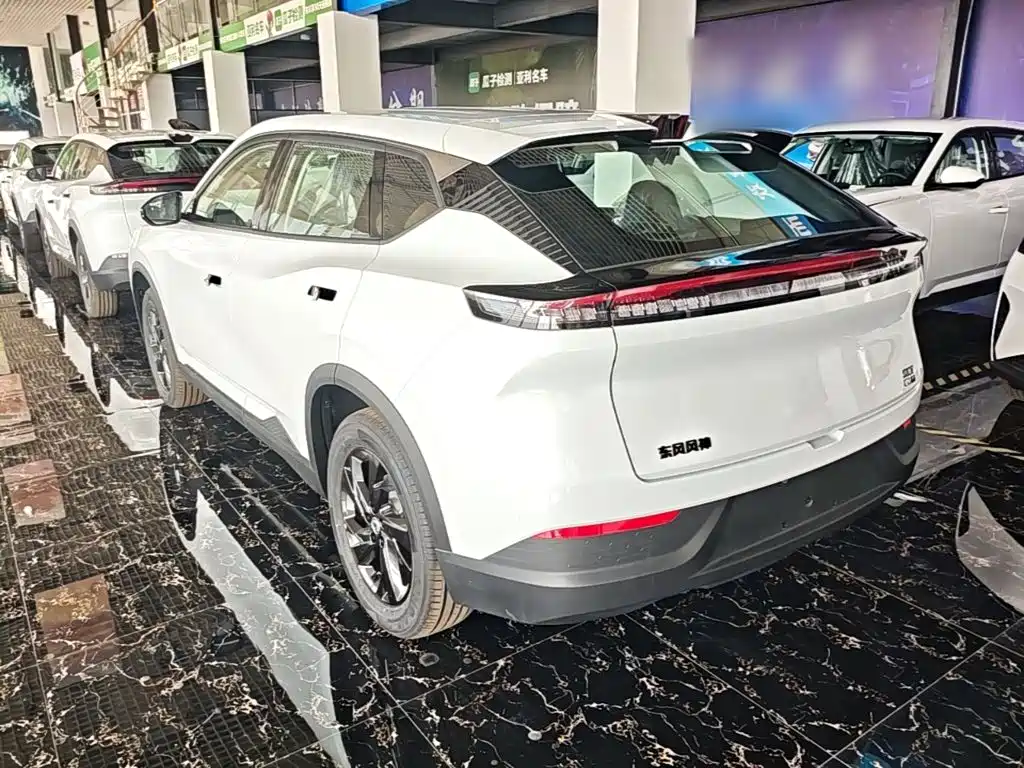 Фото 23 - Dongfeng Aeolus SKY EV01