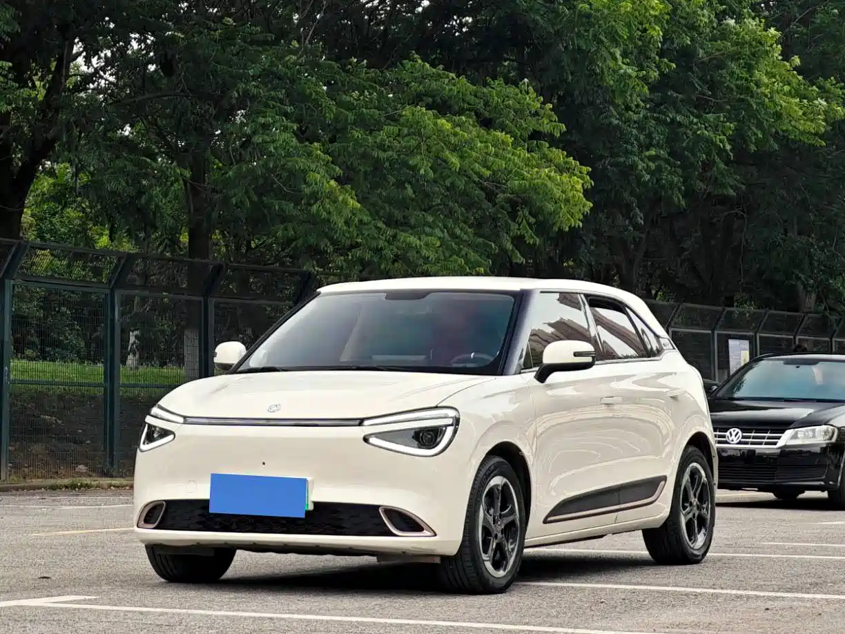 Dongfeng Yipai Nano 01 2024 2024 430 Plus Smart+