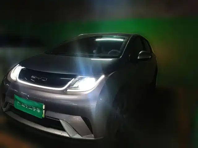  BYD Dolphin 2021 401km Knight Edition