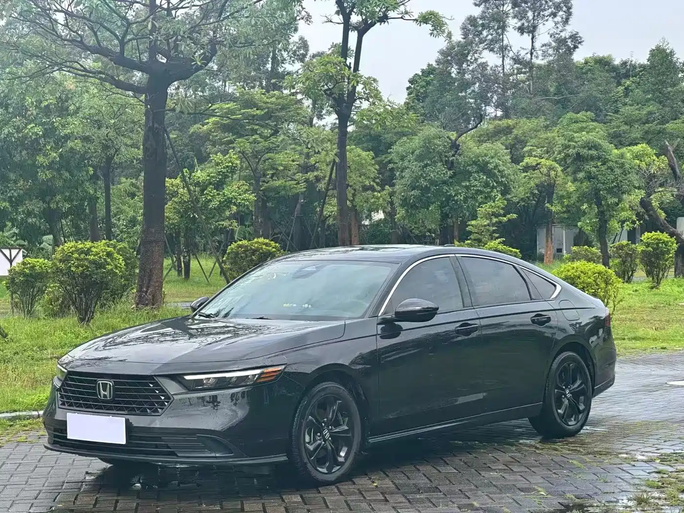 Honda Accord 2025 2025 260TURBO Luxury Edition