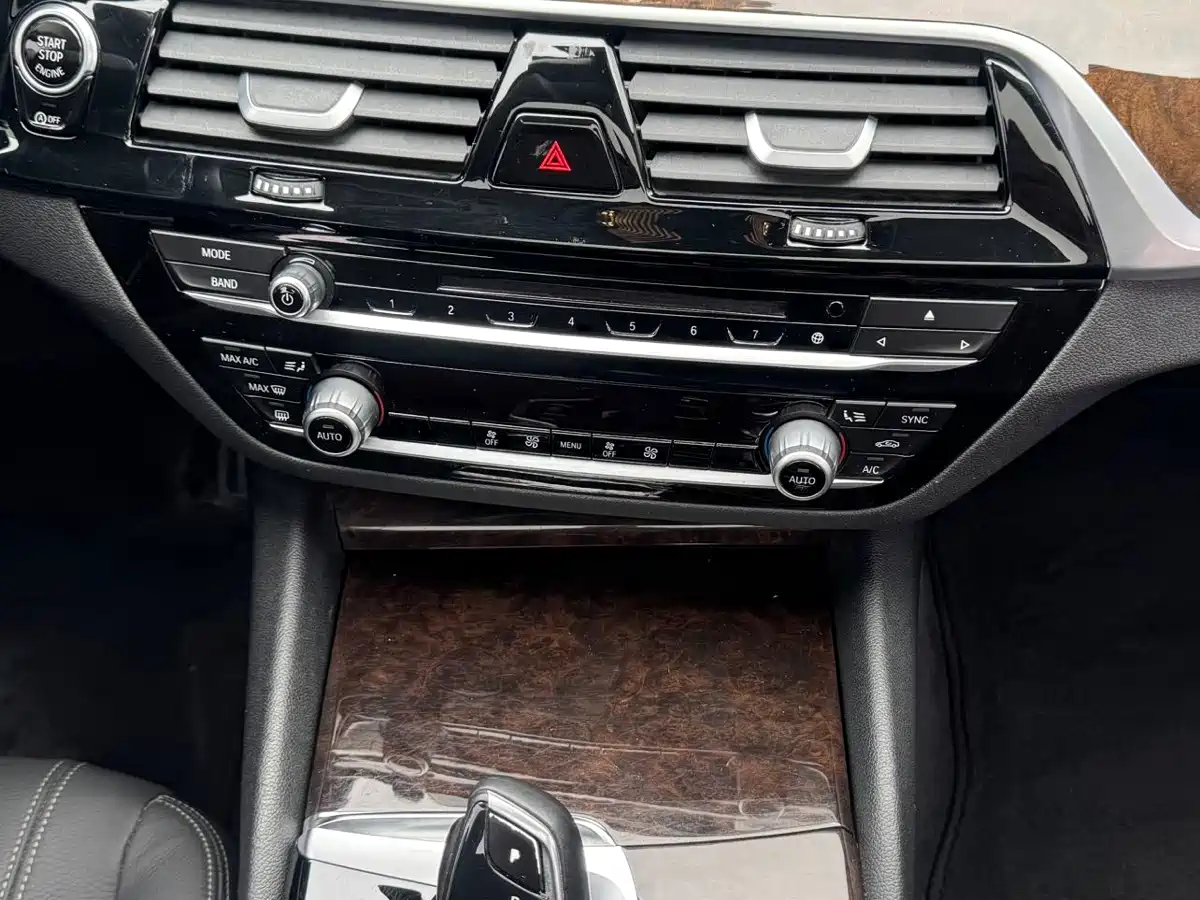 BMW 5 Series 2018 528Li Launch Special Edition фото 13