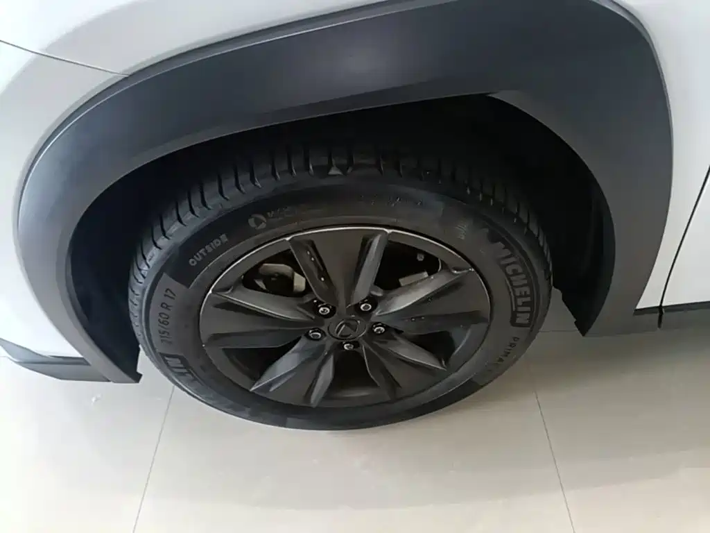 صورة 25 - Lexus UX