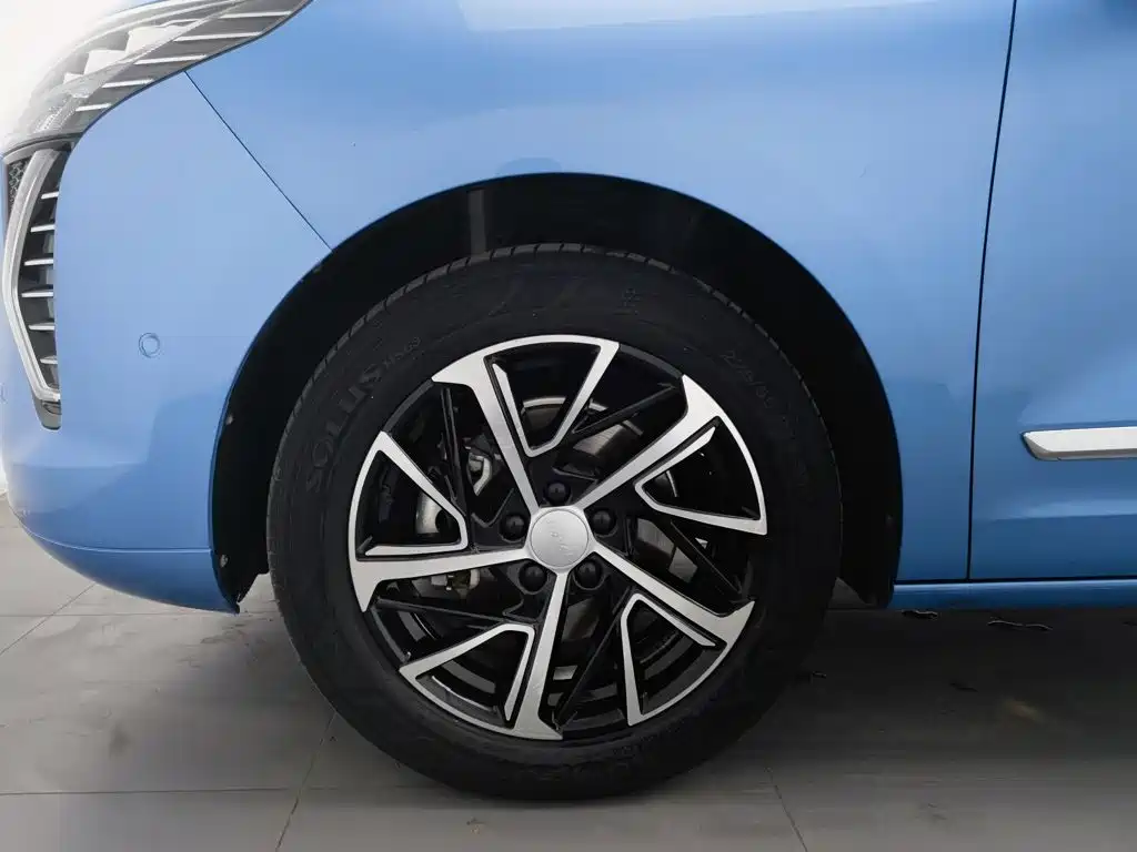 Haval First Love 2021 2021 1.5T Automatic Premium Edition