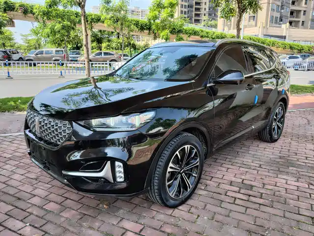  WEY Wey VV6 2020 2.0T 2WD Smart Enjoy+