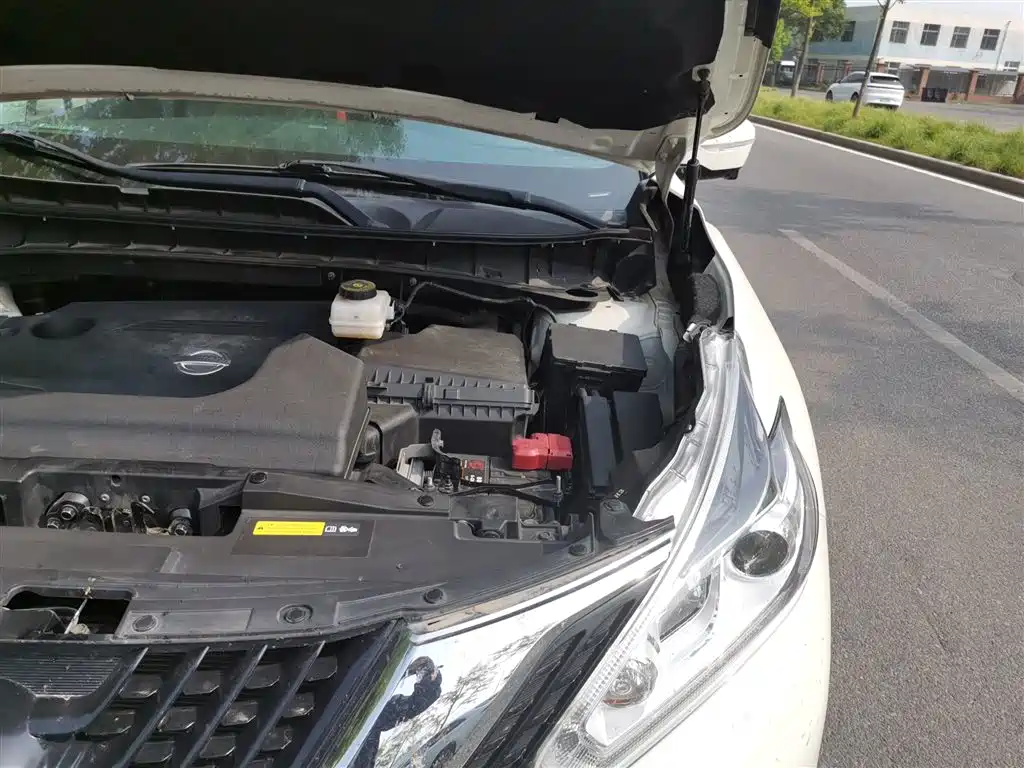 Nissan Murano 2020 2019 2.5L XL 2WD Smart Connect Luxury Edition (China VI)