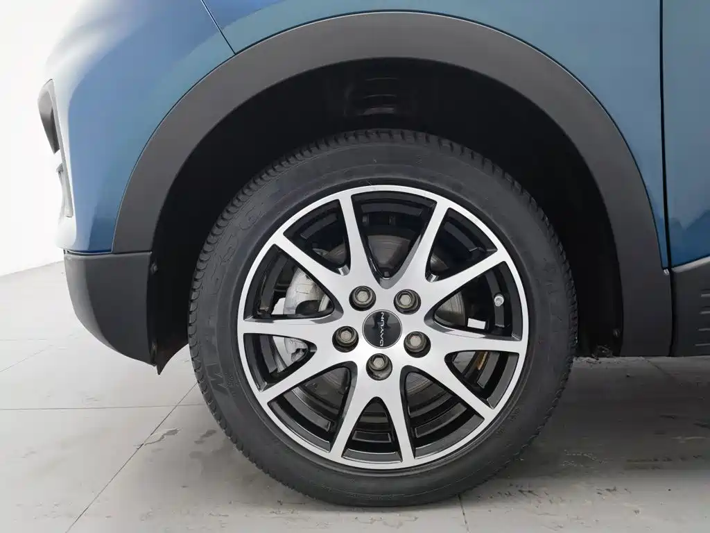 Dayun Yuehu 2021 2021 32.85kWh 2WD Elf Edition