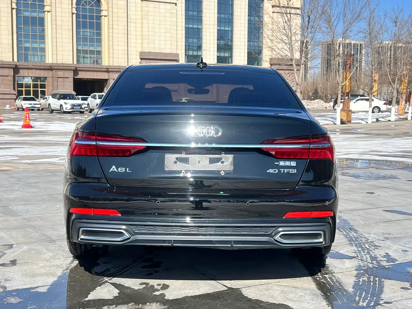 Audi A6L 2020 40 TFSI Luxury Dynamic фото 8