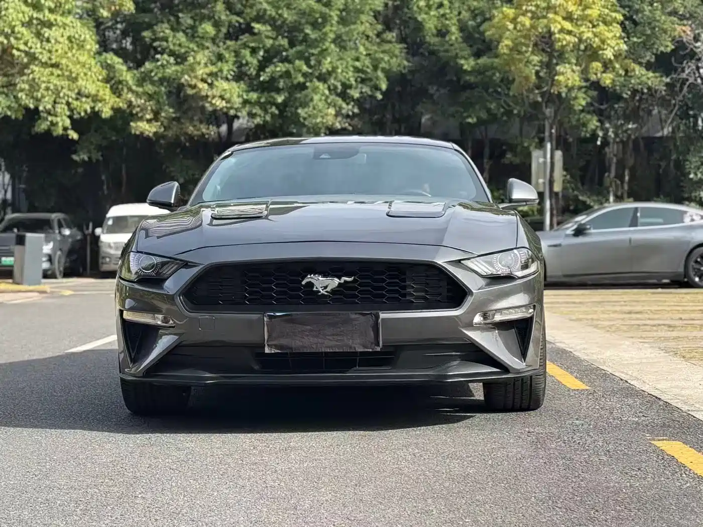 Ford Mustang 2020 2.3L EcoBoost Obsidian Phantom Special Edition фото 2