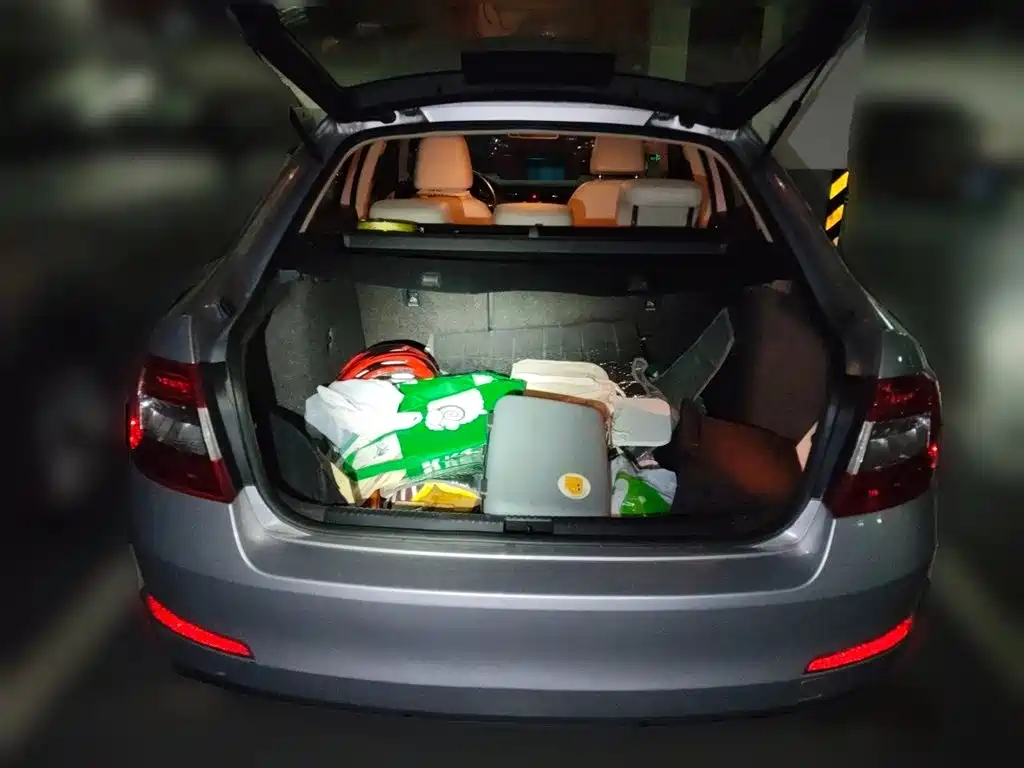 Škoda Octavia 2015 1.6L Automatic逸俊版 фото 10