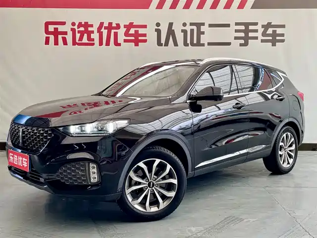 WEI PAI WEI BRAND VV6