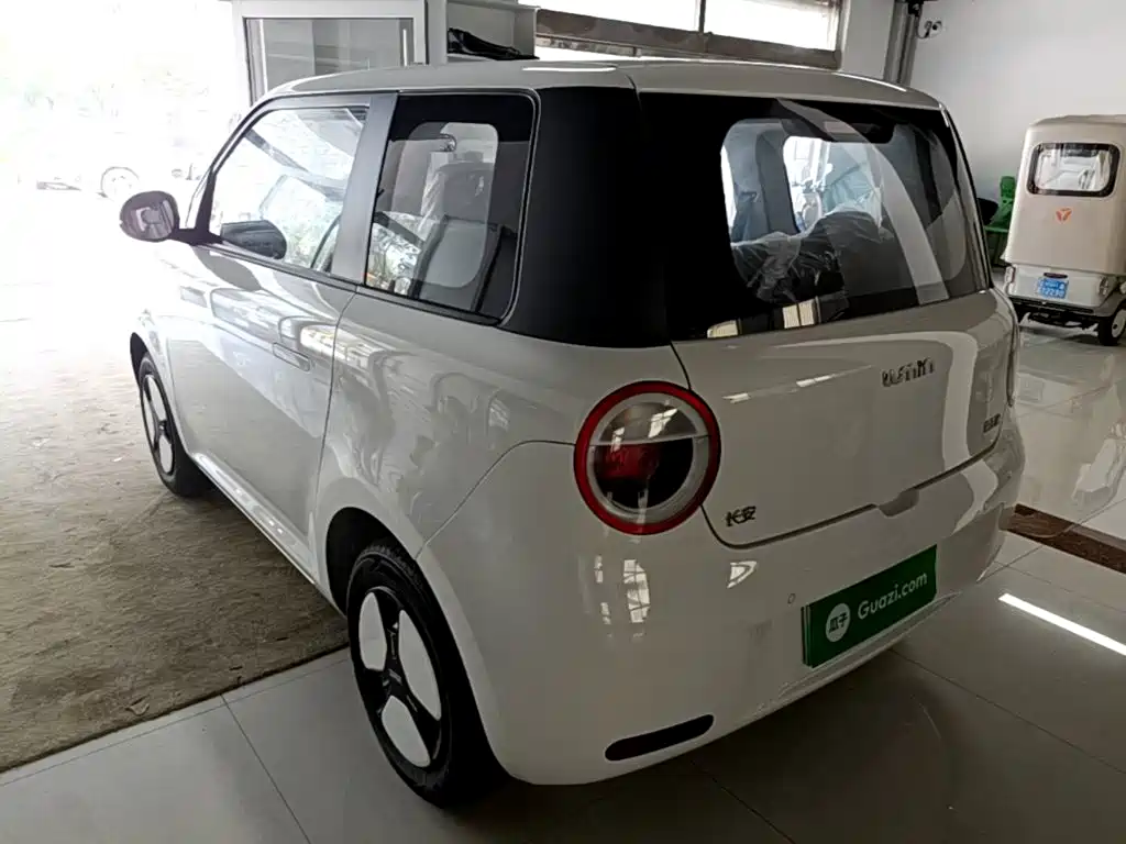  Changan Qiyuan Changan Lumin 2025 205km Fragrant Infusion Edition 5