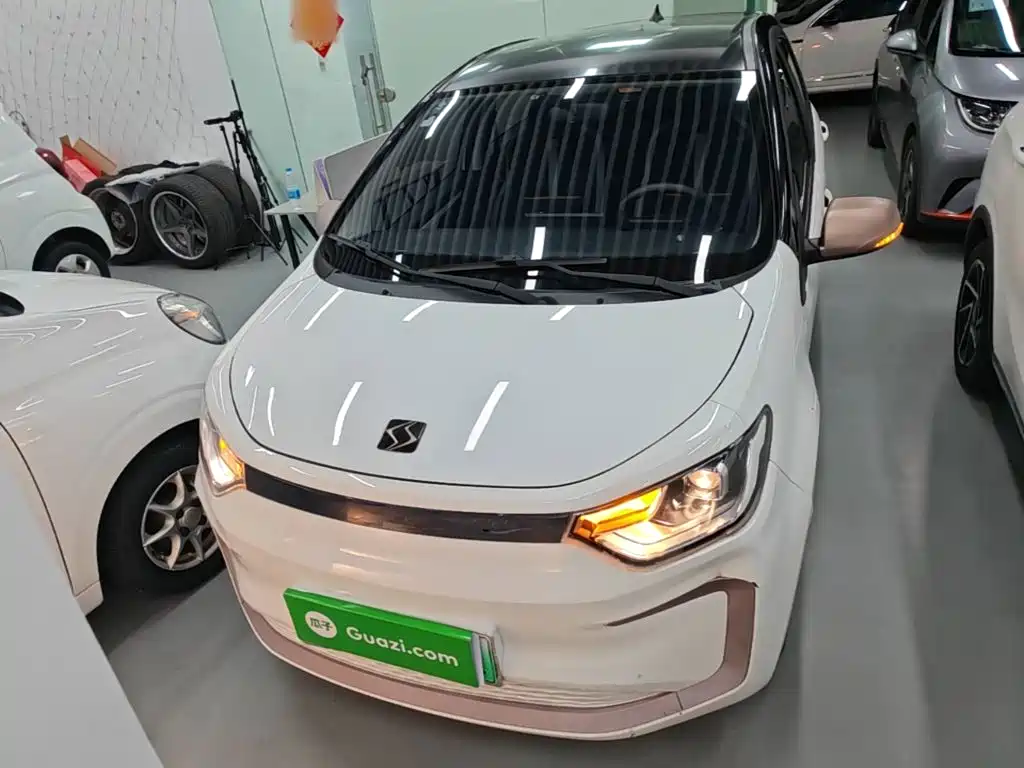 Sehol Flower Fairy 2022 2021 302km Fashion Edition 31.4kWh