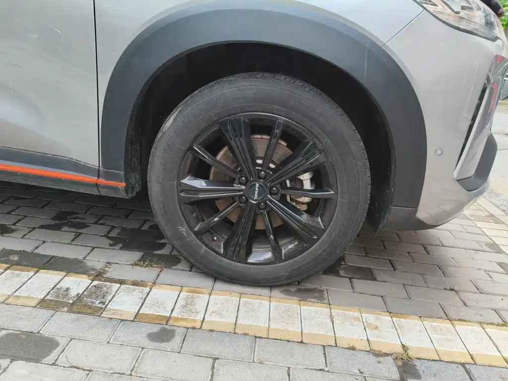 Haval H6S 2023 2022 Model 2.0T AWD Trend Run Edition