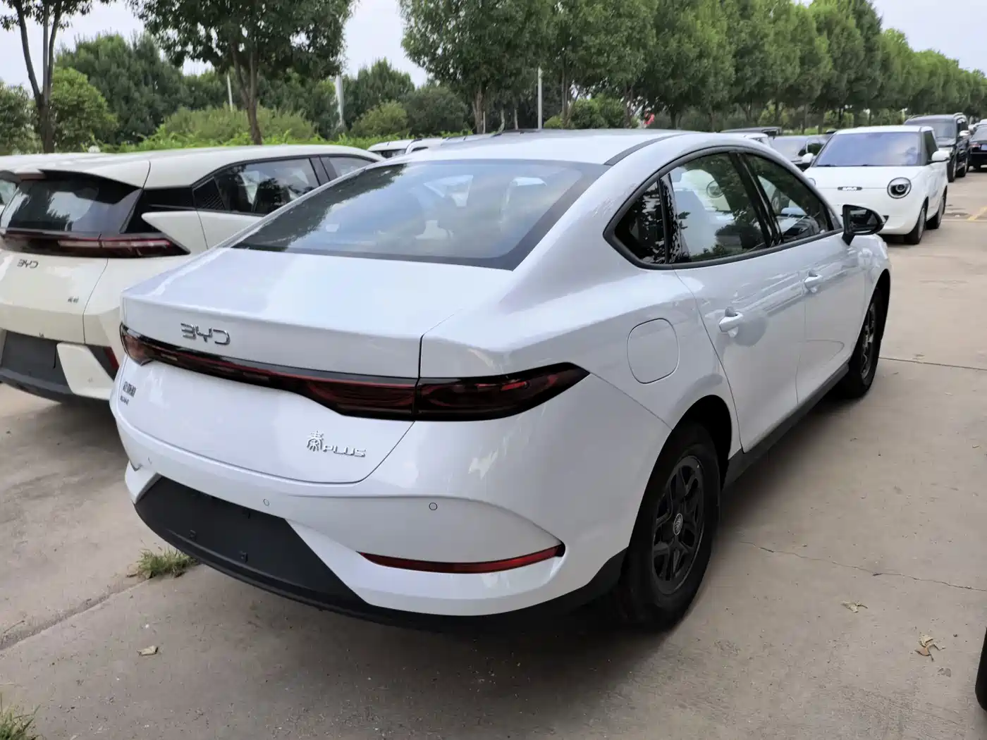 BYD Qin PLUS 2026 2026 DM-i 128KM Progressive