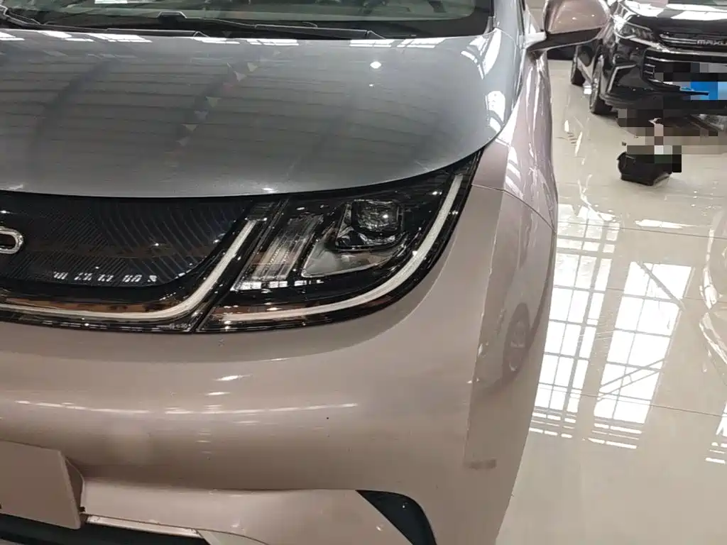 Фото 24 - BYD Dolphin