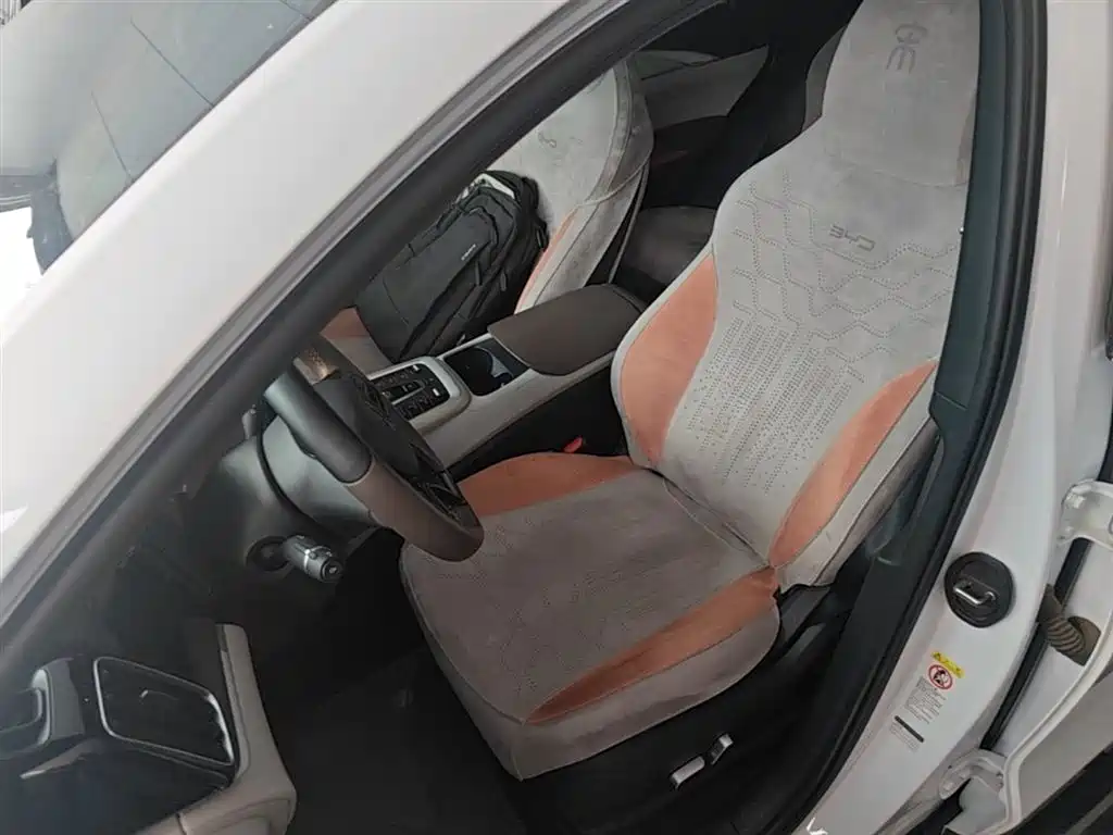BYD Song Pro New Energy 2022 DM-i 51km Premium фото 15