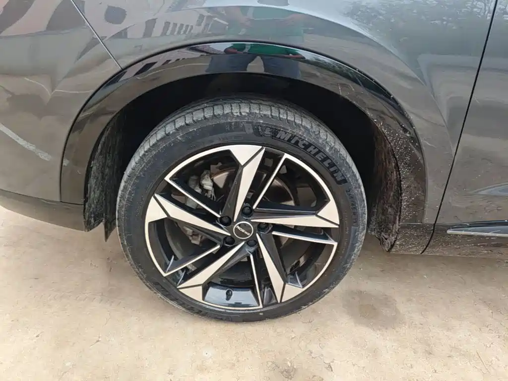 Roewe RX5 MAX 2022 2022 1.5T Auto Promising Premium Edition